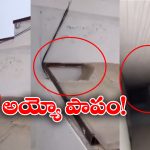 Viral Video: ఇలా మీ పిల్లలకు కాకూడదు.. గుండె బరువెక్కించే వీడియో, కన్నీళ్లు ఆగవు!