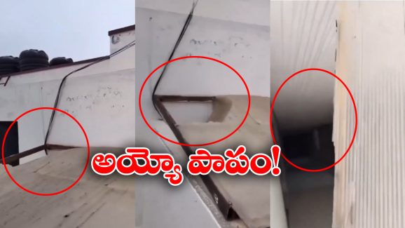 Viral Video: ఇలా మీ పిల్లలకు కాకూడదు.. గుండె బరువెక్కించే వీడియో, కన్నీళ్లు ఆగవు!