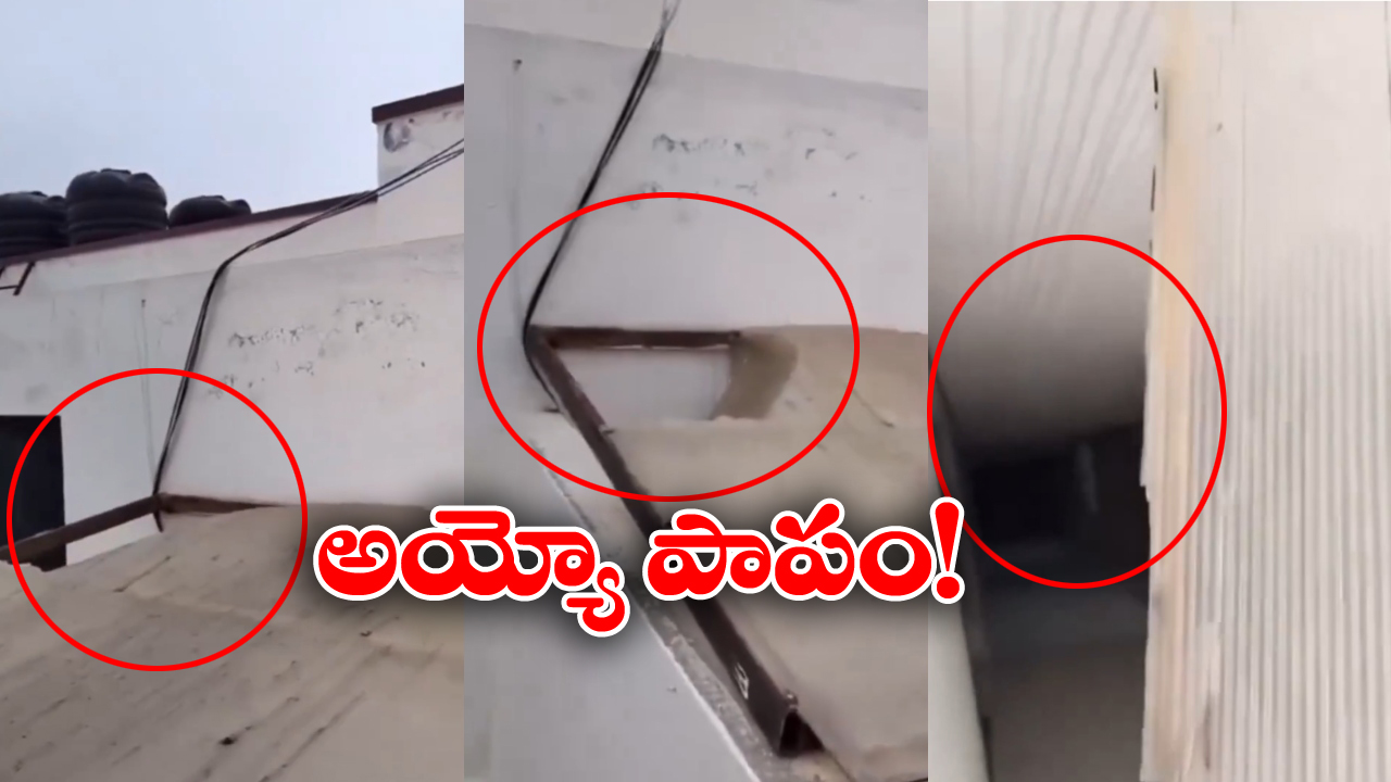 Viral Video: ఇలా మీ పిల్లలకు కాకూడదు.. గుండె బరువెక్కించే వీడియో, కన్నీళ్లు ఆగవు!