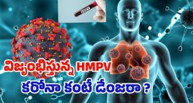 Apple : ఐఫోన్ యూజర్స్ సంభాషణలపై సిరి నిఘా.. రూ.814కోట్ల సెట్మెంట్ కు యాపిల్ రెడీ