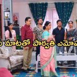 Intinti Ramayanam Today Episode : పార్వతి చెప్పిన నిజానికి అవని షాక్.. భాదలో అక్షయ్..
