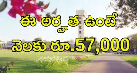 CSIR-CEERI Jobs: డిగ్రీ, డిప్లొమా పాసయ్యారా..? నెలకు స్టార్టింగ్ జీతమే.. రూ.57,000
