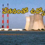 NLC Jobs: రాత పరీక్ష లేకుండా జాబ్.. ఇది ఉంటే సరిపోద్ది.. భారీగా వేతనం..