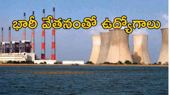 NLC Jobs: రాత పరీక్ష లేకుండా జాబ్.. ఇది ఉంటే సరిపోద్ది.. భారీగా వేతనం..