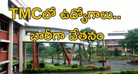 CM Revanth Reddy: తెలుగు భాషలోనే అమ్మతనం.. సీఎం రేవంత్ రెడ్డి
