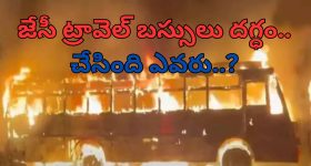 Horoscope virgo 2025 :  కన్యా రాశి జాతకులకు 2025లో ఎలాంటి ఫలితాలు ఉన్నాయో తెలుసుకుందాం