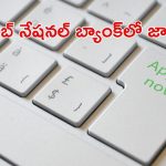 Jobs in Punjab National Bank: గుడ్ న్యూస్.. పంజాబ్ నేషనల్ బ్యాంక్‌లో ఉద్యోగాలు..