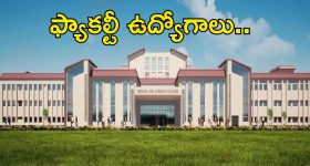 AIIMS Guwahati Jobs: ఎయిమ్స్ గువహటిలో ఫ్యాకల్టీ ఉద్యోగాలు.. దరఖాస్తు పూర్తి వివరాలివే..
