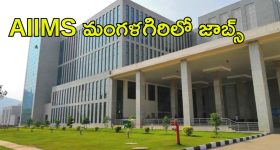 AIIMS Jobs: ఆంధ్రప్రదేశ్‌లో ఉద్యోగాలు.. ఇంటర్వ్యూ ద్వారా ఎంపిక..