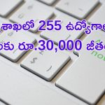 Education Department Jobs: విద్యాశాఖలో 255 ఉద్యోగాలు.. నెలకు రూ.30,000.. ఈ అర్హతలు ఉంటే చాలు..!