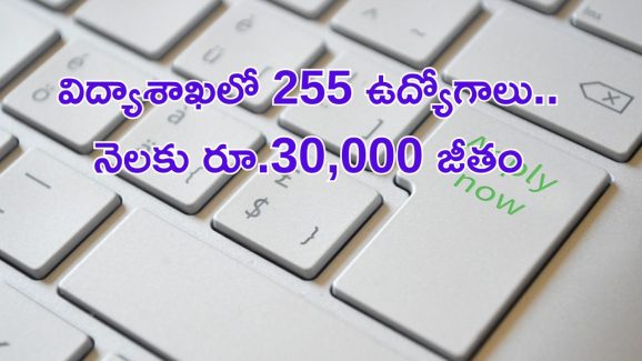 Education Department Jobs: విద్యాశాఖలో 255 ఉద్యోగాలు.. నెలకు రూ.30,000.. ఈ అర్హతలు ఉంటే చాలు..!