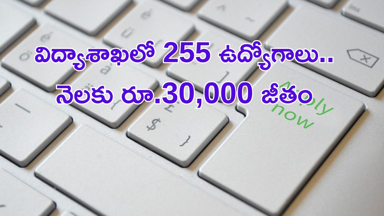 Education Department Jobs: విద్యాశాఖలో 255 ఉద్యోగాలు.. నెలకు రూ.30,000.. ఈ అర్హతలు ఉంటే చాలు..!