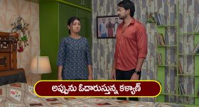 Gundeninda GudiGantalu Today episode: శృతి కోపాన్ని పెంచిన ప్రభావతి.. సంతోషంలో మీనా, బాలు..
