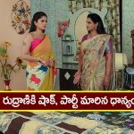 Brahmamudi Serial Today Fabruary 1st: ‘బ్రహ్మముడి’ సీరియల్: రుద్రాణికి షాక్‌ ఇచ్చిన ధాన్యం – తనను బకరాను చేస్తున్నావంటూ ఫైర్‌  