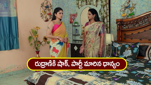 Brahmamudi Serial Today Fabruary 1st: ‘బ్రహ్మముడి’ సీరియల్: రుద్రాణికి షాక్‌ ఇచ్చిన ధాన్యం – తనను బకరాను చేస్తున్నావంటూ ఫైర్‌  