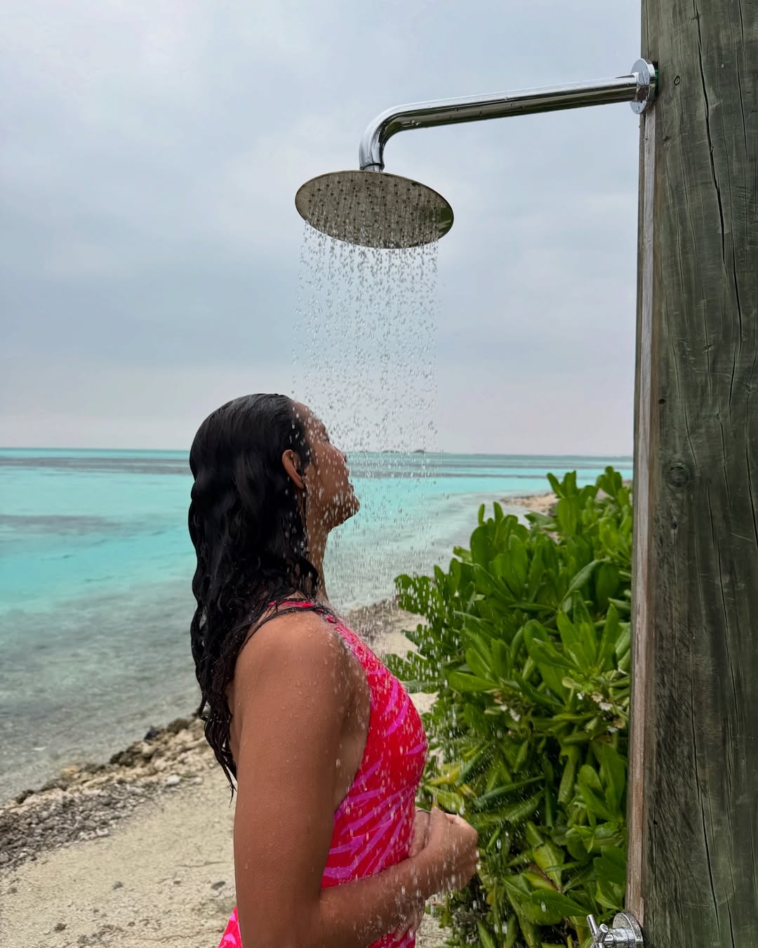 Actress Tripti dimri Photo gallery