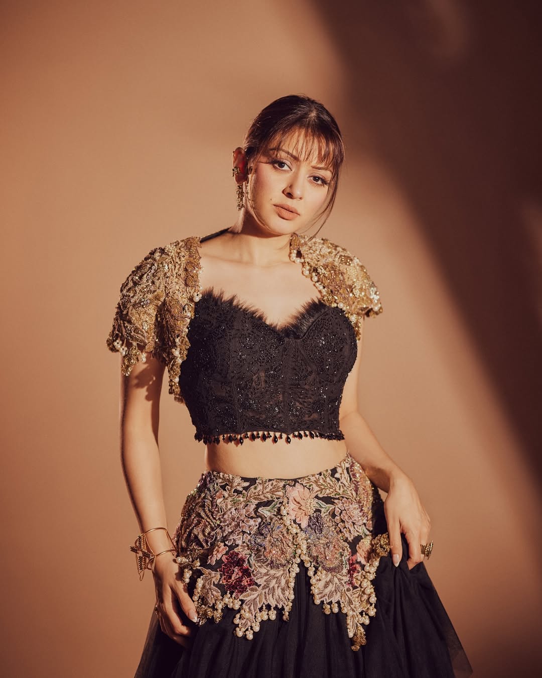Hansika Motwani Photo Gallery
