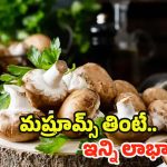 Mushroom Benefits: చికెన్, మటన్ కంటే హెల్దీ ఫుడ్ ఇదే.. తింటే బోలెడు ప్రయోజనాలు !