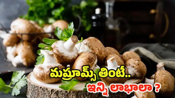 Mushroom Benefits: చికెన్, మటన్ కంటే హెల్దీ ఫుడ్ ఇదే.. తింటే బోలెడు ప్రయోజనాలు !
