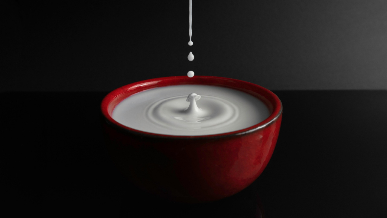 Milk on Empty Stomach: ఖాళీ పొట్టతో పాలు, పెరుగు తీసుకోవచ్చా? ఎలాంటి సమస్యలు వస్తాయి?
