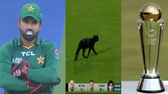 Black Cat Entry In PAK vs NZ: గ్రౌండ్ లో నల్లపిల్లులు.. ఛాంపియన్స్ ట్రోఫీకి ముందే పాకిస్థాన్ కు అపశకునం !