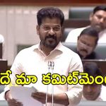 CM Revanth Reddy: అసెంబ్లీ వేదికగా సీఎం రేవంత్ ప్రకటన.. ఇరకాటంలో బీఆర్ఎస్, బీజేపీలు