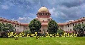 Jobs in Supreme Court: డిగ్రీ అర్హతతో కోర్టులో 241 ఉద్యోగాలు.. లాస్ట్ డేట్ ఎప్పుడంటే..?