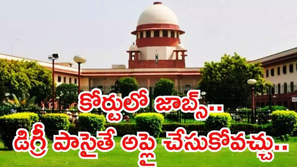 Court Jobs: గోల్డెన్ ఛాన్స్.. డిగ్రీ అర్హతతో కోర్టులో 241 జాబ్స్.. లాస్ట్ డేట్ ఇదే భయ్యా..