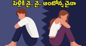 Perni Nani: విజయసాయిరెడ్డి ప్లేస్‌లో పేర్ని నాని.. జగన్ కీలక నిర్ణయం