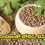 Coriander Seeds: ధనియాలతో ఈ ఆరోగ్య సమస్యలు పరార్ !