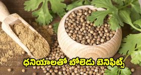 Coriander Seeds: ధనియాలతో ఈ ఆరోగ్య సమస్యలు పరార్ !
