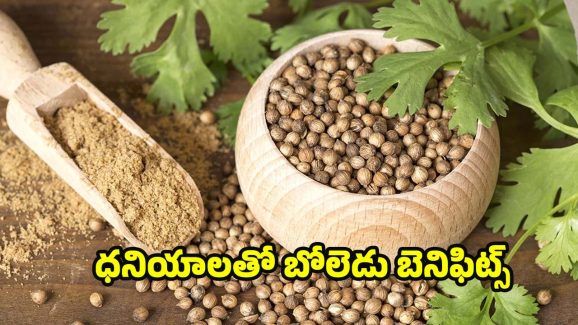 Coriander Seeds: ధనియాలతో ఈ ఆరోగ్య సమస్యలు పరార్ !