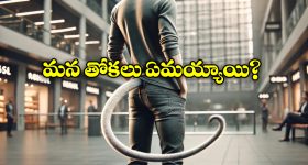 Humans With Tails: మీకు తెలుసా.. మనుషులకూ తోకలుండేవి, ఇదిగో ఇలా మాయమైపోయాయట!