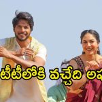 Mazaka Movie OTT: ‘మజాకా’ మూవీ ఓటీటీ ఫిక్స్.. ఎప్పుడు, ఎక్కడ స్ట్రీమ్ అవుతుందంటే.?
