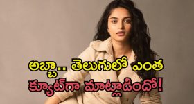 AP Police : వైసీపీ నేత గోరంట్ల మాధవ్ ఇంటికి పోలీసులు - మరికాసేపట్లో అరెస్ట్?