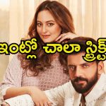 Sonakshi Sinha: అలాంటి ఇంట్లో పెరిగాను, నా భర్త కోసమే అదంతా చేశాను.. బాలీవుడ్ బ్యూటీ కామెంట్స్