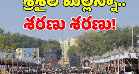 ICC Champions Trophy 2025: ఛాంపియన్స్ ట్రోఫీ దెబ్బ.. 100 మందికిపైగా ఉద్యోగాలు పీకేసిన పాక్ !