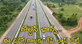 Soft Roti Making: రోటీలు మెత్తగా.. దూది పింజల్లా రావాలంటే ఈ తప్పులు చేయొద్దు