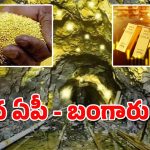 AP Gold Mining : మన స్వర్ణాంధ్రలో బంగారు గనులు – రూ.లక్షల కోట్ల నిల్వలు గుర్తింపు