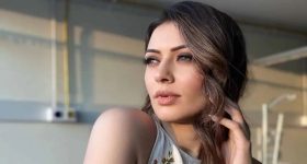 Hansika on Allu Arjun :నేషనల్ అవార్డు వచ్చిన తర్వాత బన్నీలో ఆ మార్పు గమనించా - హన్సిక షాకింగ్ కామెంట్స్