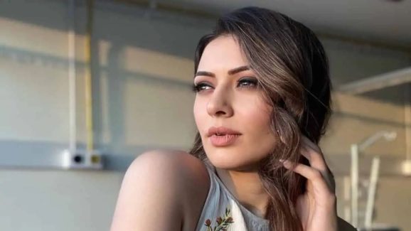 Hansika on Allu Arjun :నేషనల్ అవార్డు వచ్చిన తర్వాత బన్నీలో ఆ మార్పు గమనించా – హన్సిక షాకింగ్ కామెంట్స్