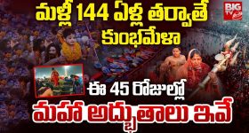 Raw Papaya Juice: పచ్చి బొప్పాయి జ్యూస్ తాగితే.. ఎన్ని లాభాలో తెలుసా ?