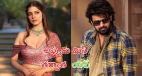 Malavika Mohanan : రాజాసాబ్ కంటే ముందే ప్రభాస్ తో ఛాన్స్ వచ్చింది