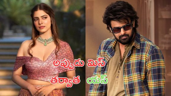 Malavika Mohanan : రాజాసాబ్ కంటే ముందే ప్రభాస్ తో ఛాన్స్ వచ్చింది