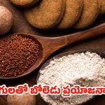 Finger Millets: రాగులు తింటే.. ఈ ఆరోగ్య సమస్యలు పరార్