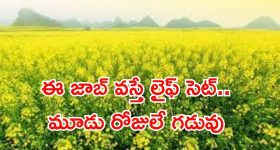 NAFED Recruitment: ఈ ఉద్యోగం వస్తే లైఫ్ సెట్ భయ్యా.. నెలకు రూ.1,50,000 జీతం.. ఇంకా మూడు రోజులే..!
