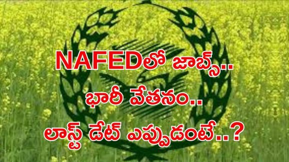 NAFED Recruitment: నిరుద్యోగులకు సువర్ణవకాశం.. ఈ జాబ్ వస్తే లైఫ్ సెట్.. ఈ అర్హతలు ఉంటే సరిపోతుంది..