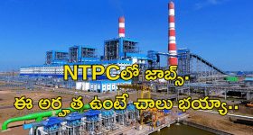NTPC Recruitment: నిరుద్యోగులకు శుభవార్త.. భారీ వేతనంతో ఎన్టీపీసీలో ఉద్యోగాలు.. ఈ అర్హత ఉంటే ఎనఫ్..