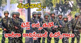 Mazaka Movie OTT: ‘మజాకా’ మూవీ ఓటీటీ ఫిక్స్.. ఎప్పుడు, ఎక్కడ స్ట్రీమ్ అవుతుందంటే.?