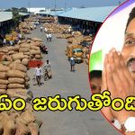 Jagan Guntur tour: గుంటూరు మిర్చియార్డులో జగన్